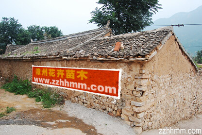 www.zzhhmm.com