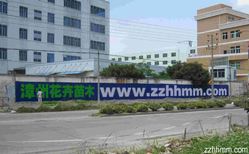 www.zzhhmm.com