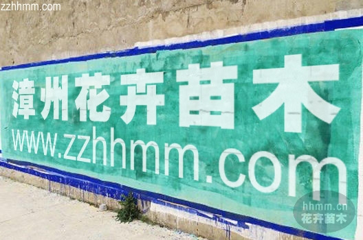 www.zzhhmm.com